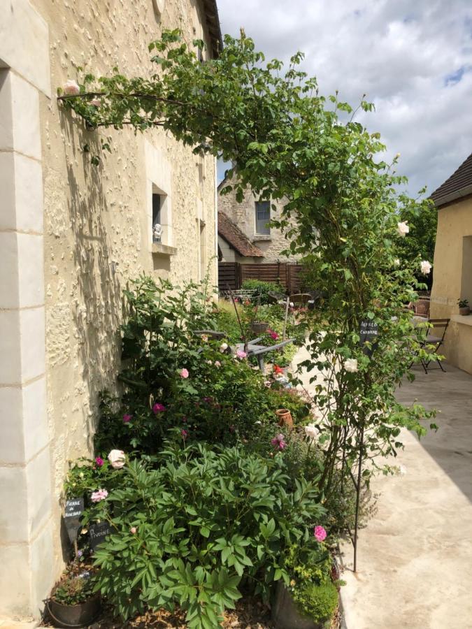 Les Chambres De L'Aigronne Le Petit-Pressigny Exteriör bild